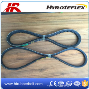 Cogged/Non-Cogged Narrow V Belt for Industry and Plant